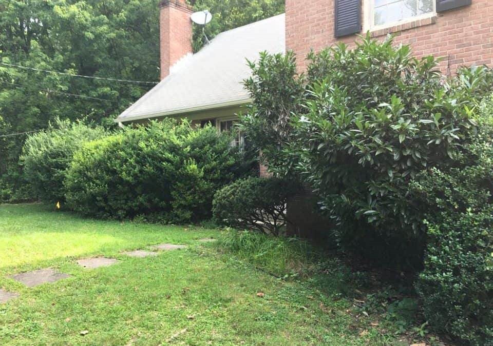 landscape design and renovation