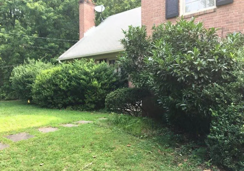 landscape design near me