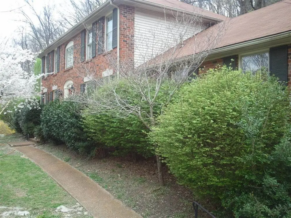 landscaping company near me