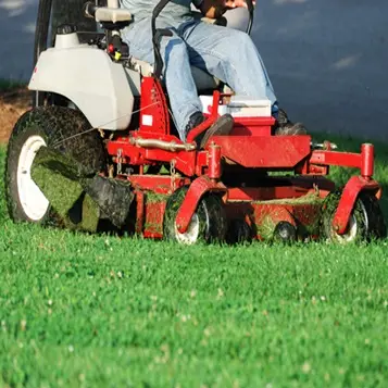 affordable lawn care near me